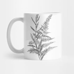 Hand-drawn leaf of fern and branch Mug